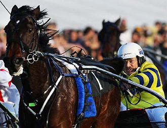 HARNESS RACING HARNESS RACING